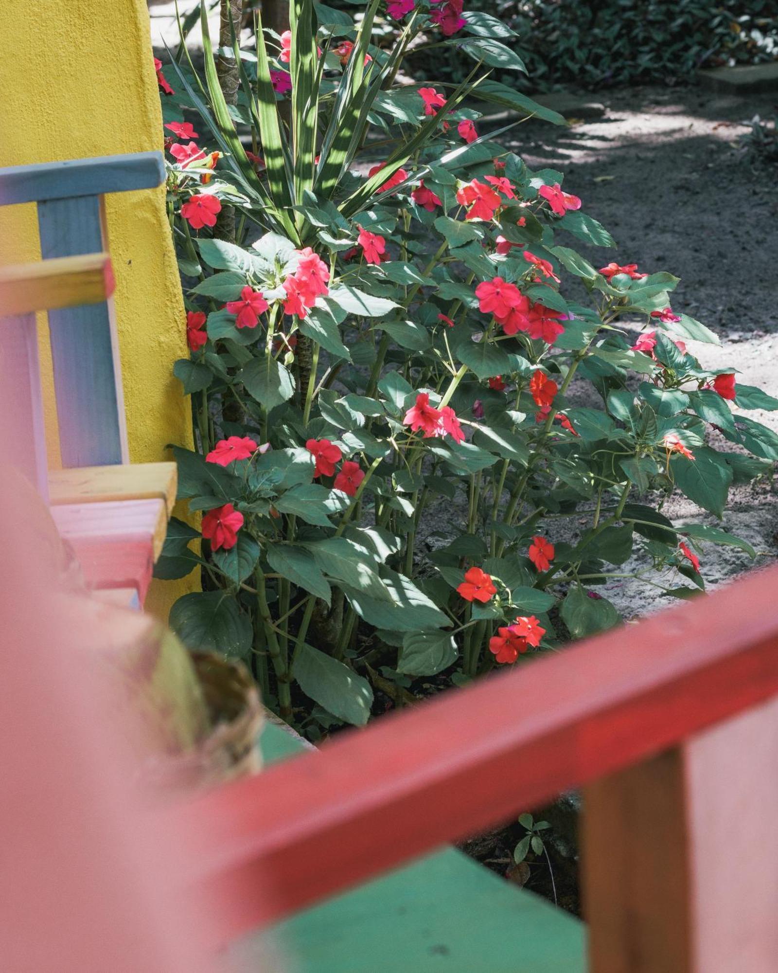 Butterfly House Bahia Hotel Marau  Luaran gambar