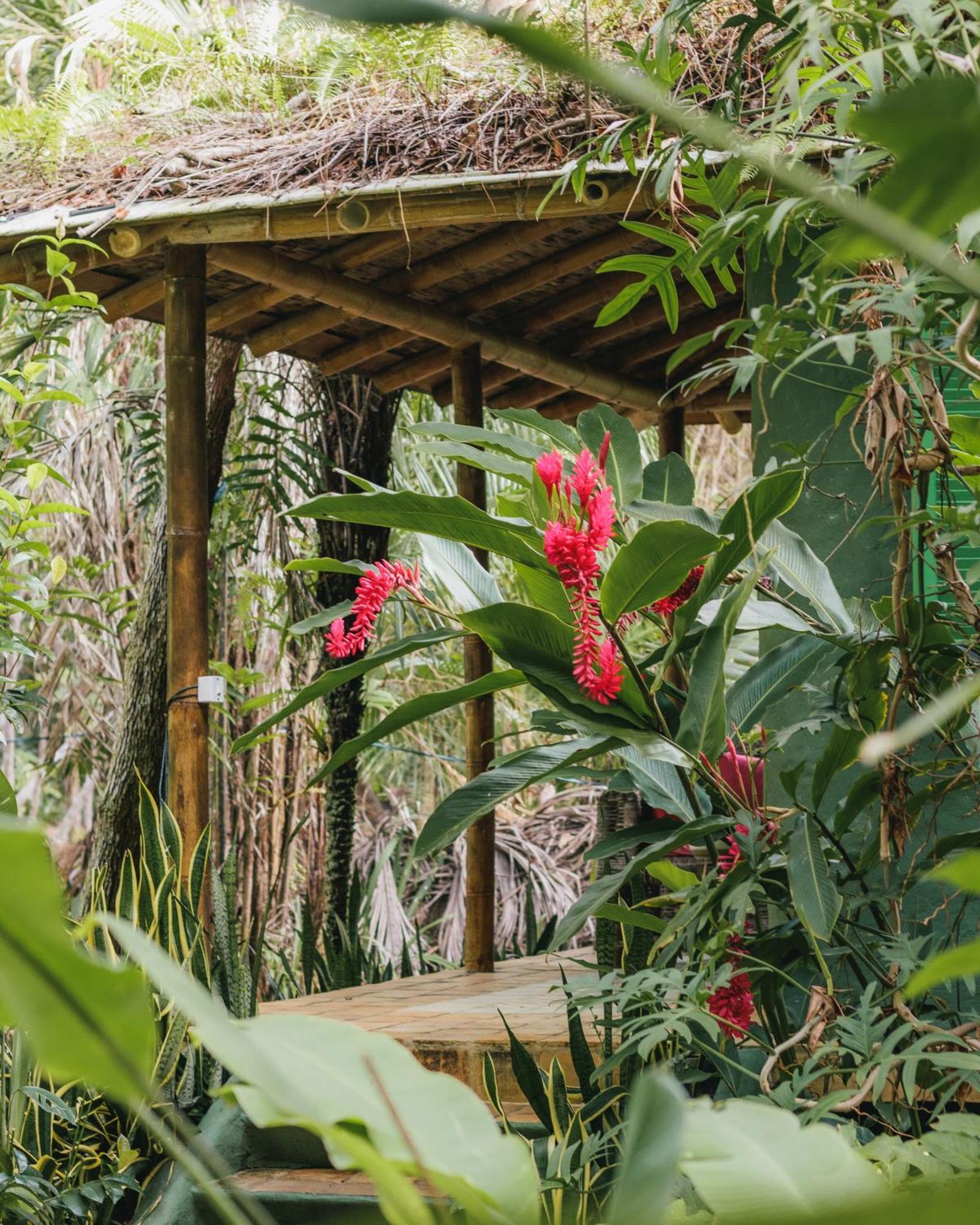 Butterfly House Bahia Hotel Marau  Luaran gambar